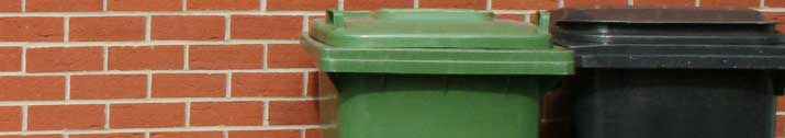 Green and black waste bins